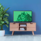 24” Class 720P HD Roku Smart Television, 100012590